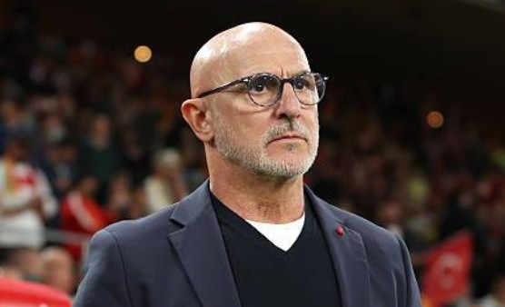Profil Biodata Luis de la Fuente: Umur, Karier, dan Prestasi