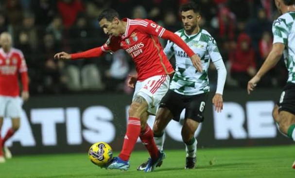 Prediksi Moreirense vs Benfica, Cek Performa dan Head to Head