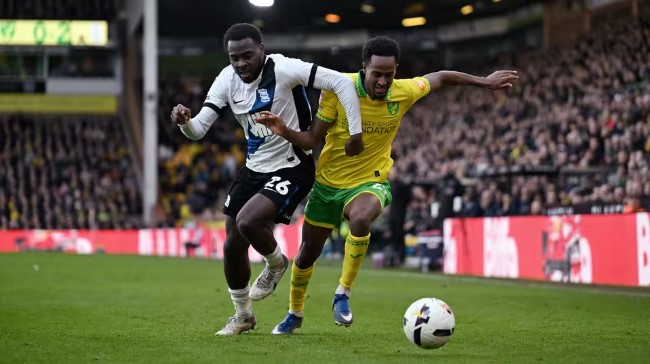 Prediksi Norwich vs Birmingham: Analisis, H2H, dan Statistik